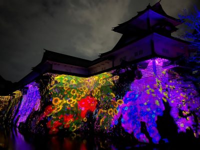 金沢城の石垣に住まう花と共に生きる動物たち