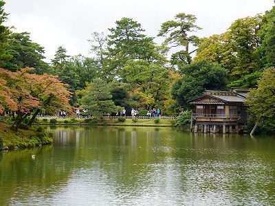 Mist pond